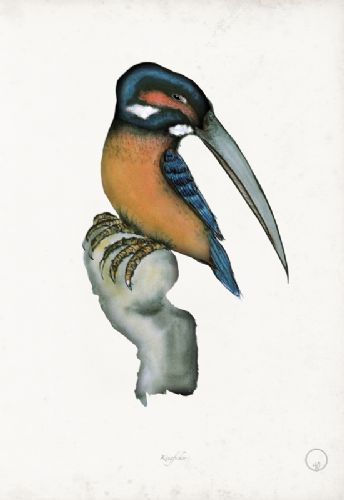 Kingfisher - artist signed print